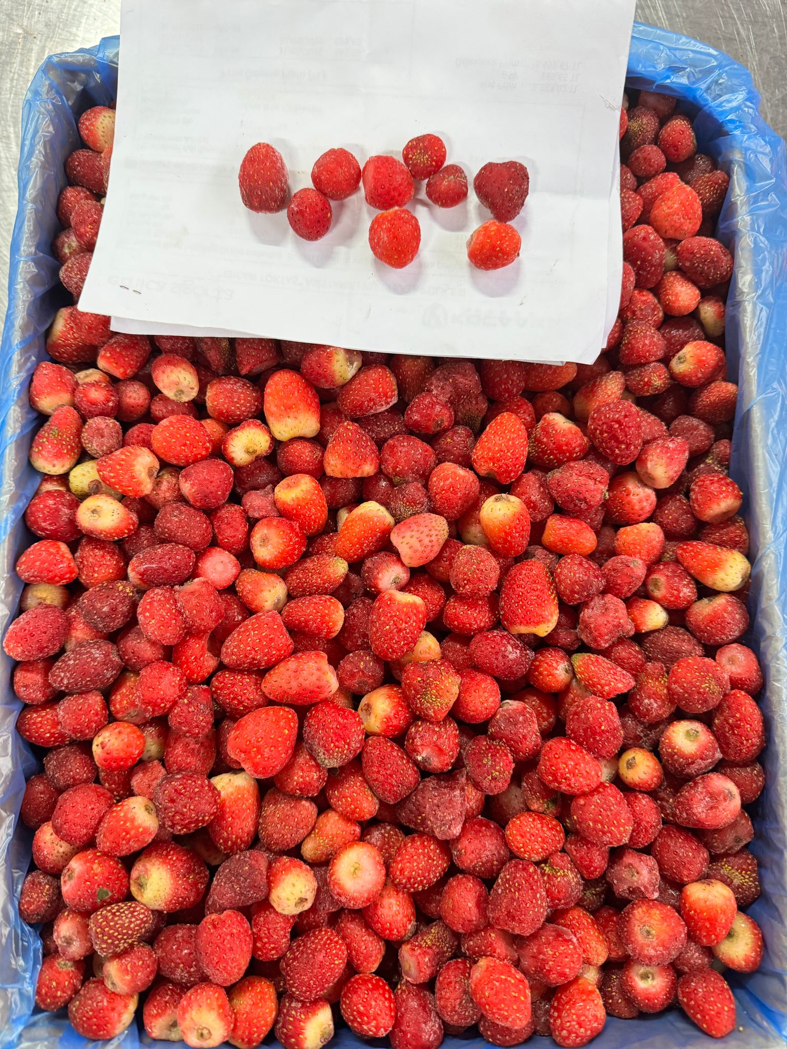 10 15 Kalibre Çilek