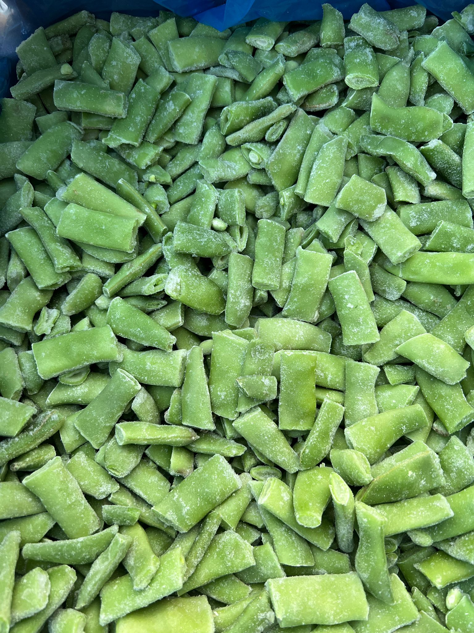 40 - 60 taze fasülye